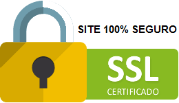 SSL Ícone